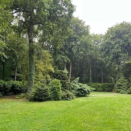 Maison De Reve En Foret *