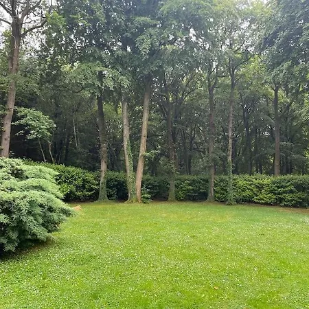 Maison De Reve En Foret *